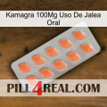 Kamagra 100Mg Oral Jelly Use 26